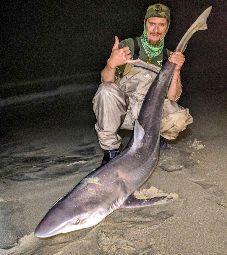 Rare soupfin shark caught and saved by Dana Point captain famous for  disentangling great white shark in surf line – Orange County Register